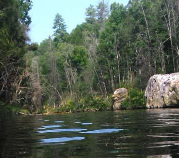 Prisustvo i priroda sedimenta prisutnog u vodenoj sredini može uticati na degradaciju organskih