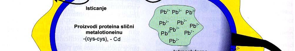 organizmi izloženi štetnom