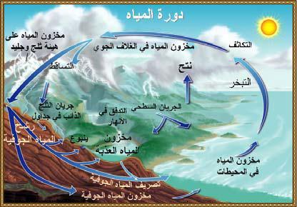 شكل )1-2(: د رة المياه في الطبيع المصةدر: مػوارد الميػاه. موسػوعة المنػاخ والطقػس. أعػده لمنشػر أس. أتػػش. شػينيدر مطبعػة جامعػة أكسػمورد نيويػورؾ 828- المجمد 2 ص 817 5.6.