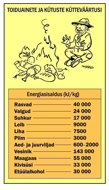 Arvestades ööpäevast energiakulu, võime ilma tüsenemist kartmata süüa üle viie kilogrammi aed- ja juurvilju, kuid üksnes umbes veerand kilo Krakovi vorsti.