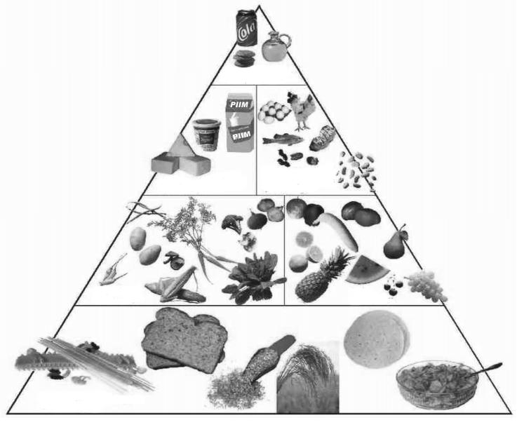 BIOLOOGIA-FÜSIOLOOGIA Noore mehe ööpäevane veevajadus meie laiuskraadile omastes kliimatingimustes on ligikaudu 2 2,5 liitrit, kuumadel suvepäevadel see suureneb.