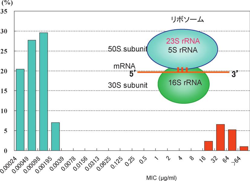 telithromycin 23S rrna 30) PCR 9 31) 33) 10 20 PCR 75 32) PCR 11.