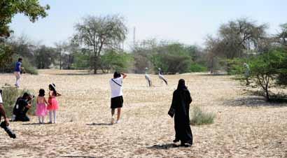 العدد (٥)