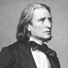 Franz Liszt O Franz Liszt (22 Οκτωβρίου 1811 31 Ιουλίου 1886), μαζί με τον Frederic Chopin, καθιέρωσαν το πιάνο ως τον «βασιλιά» των οργάνων.