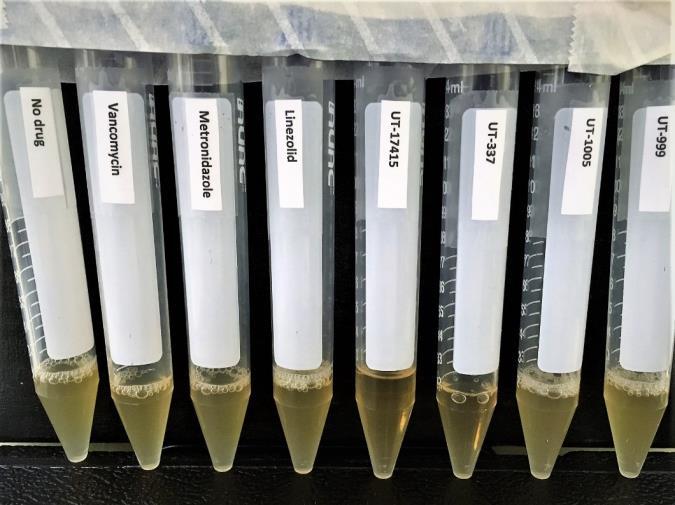 o drug Vancomycin 1 Metronidazole 1 Linezolid 1 CFU (x10 6 /ml) 1250 1150 1100 1200 D 600 0.4-0.6 0.45 0.48 0.