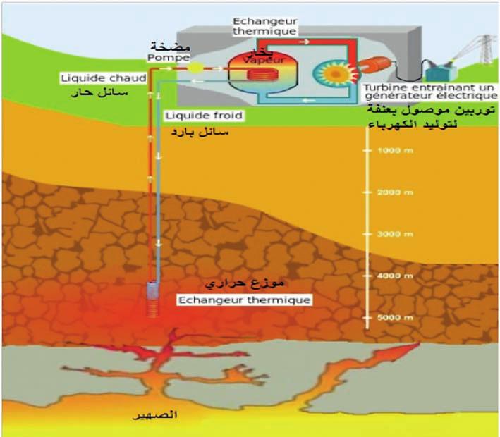 موءشرات الطاقة الجيوحرارية في لبنان ٦٦ ش كل رقم (٤) محطة جيوحرارية لتوليد الطاقة الكهرباءية (المص در: (BRGM 2004 يجري اس تخدام الطاقة الجوفية للا رض في انتاج الطاقة الكهرباءية بواس طة طرق عديدة:
