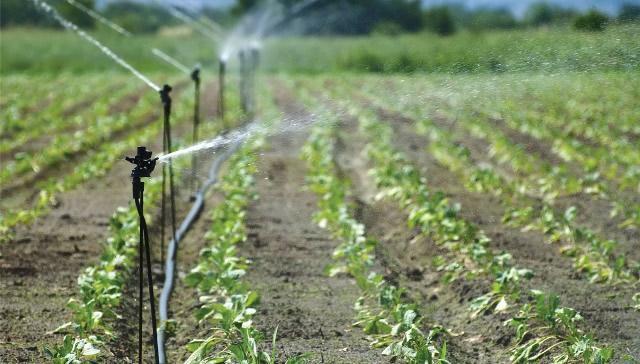 Slika 3.4. Navodnjavanje mikroprskalice [5] PREDNOSTI Visoka učinkovitost primjene navodnjavanja do 75 %. Mala potreba za upravljanjem i odrţavanjem.