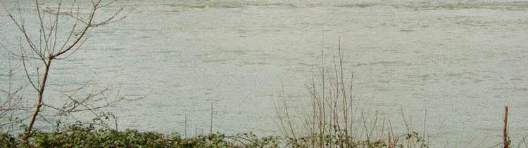 2007 Dngedijk, Prt