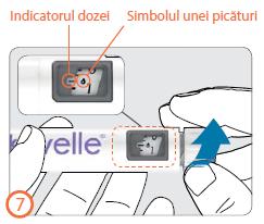 Amorsarea - (Pașii 7-9) Înainte de a utiliza stiloul injector pentru prima dată, trebuie să scoateți bulele de aer din cartuș (amorsare) pentru a vă administra doza corectă de medicament.