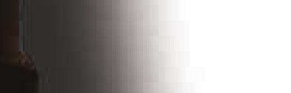 filter 0,3mm