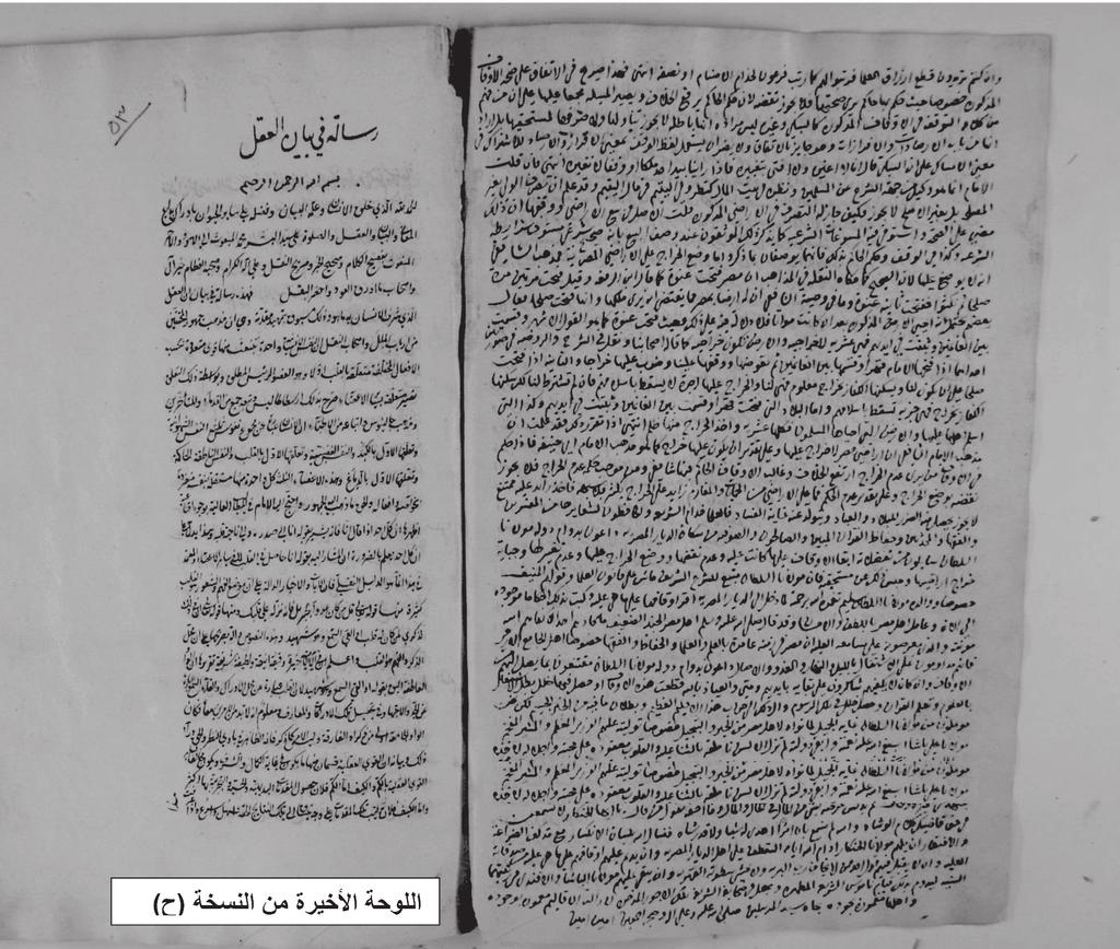 العل ية أييدات الت