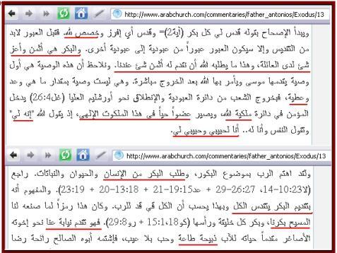 سؤال: هل صفات الرب في العهد القديم القتل والذبج واإلرهاب هل القديم رب قاتل العهد )... اق ت ل ر ج ل و ام ر أ ة ط ف ل و ر ض يع ا ب ق ر ا )صموئيل األول )....)3 :15 )13 سأ بيد ه م إ بادة يقول الرب.