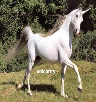 هل رب الق يم بأساطير الحيوان الخرافي الحريش Unicorn العه يو ي عن أين القداسة يف اختالف