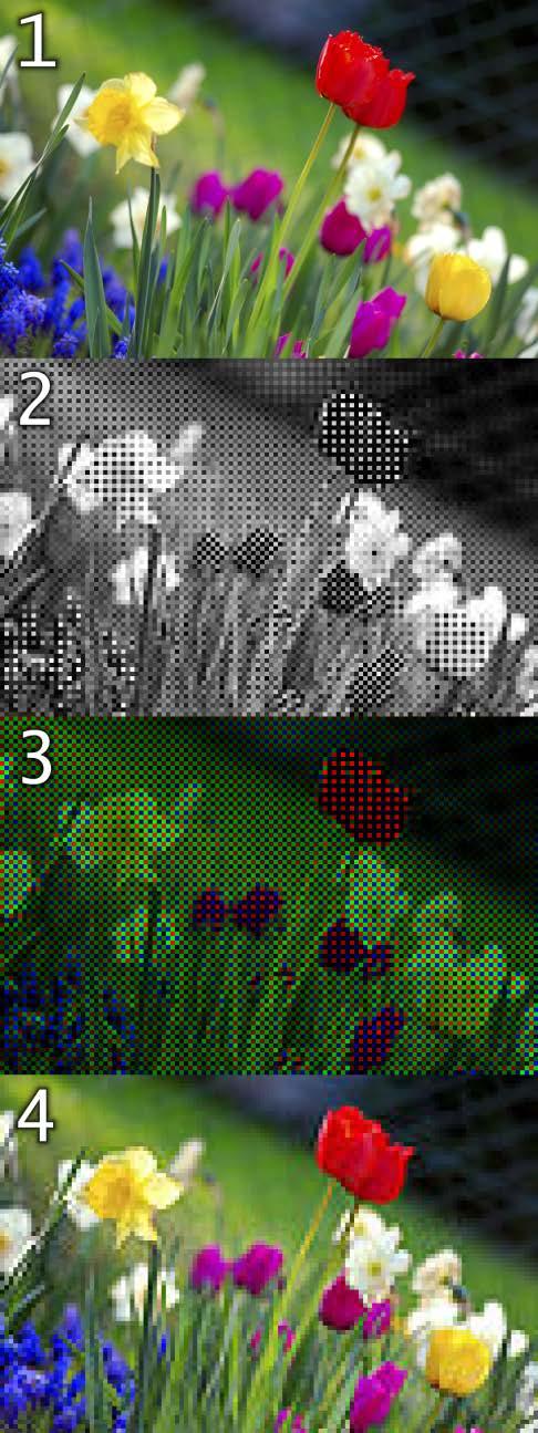 Captura color Imagine originală Ieșirea unui sezor de 120 x 80 cu filtru Bayer Ieșire cu culori
