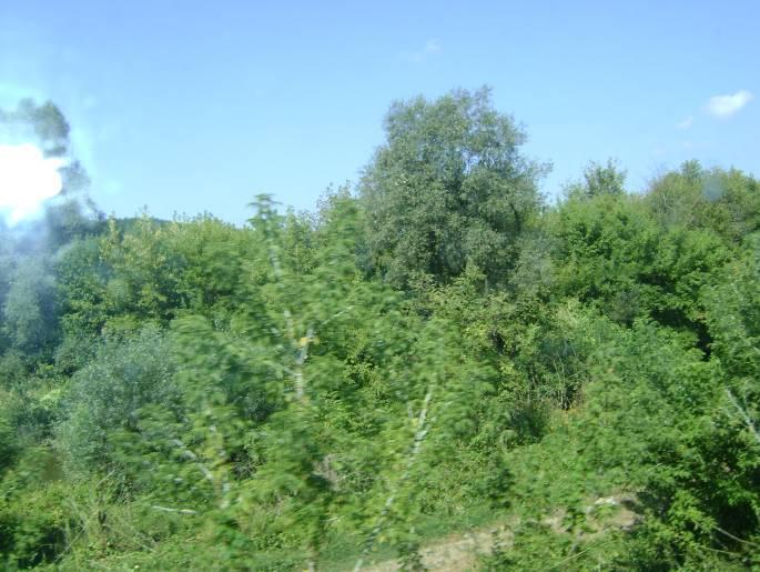 Statia Sighisoara Langa