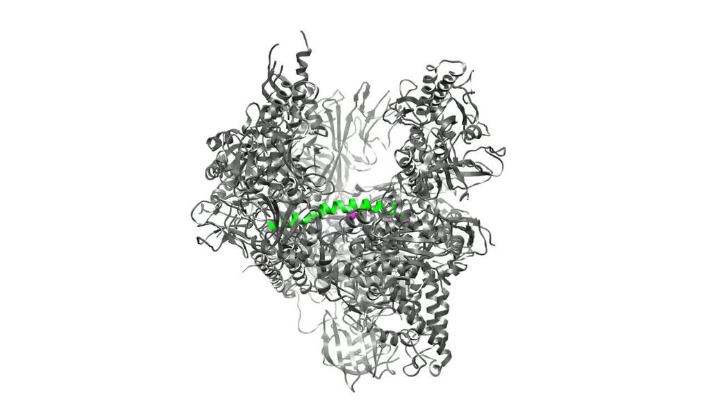 RNA polimeraza I