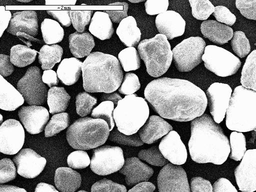 morphology [6] Fig.