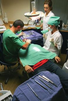 však limitom pri voľbe implantátu finančná náročnosť. Poisťovňa implantáty nehradí ani starým ľuďom, ktorým už v ústach protéza riadne nedrží. Akú máte skúsenosť so spoľahlivosťou zubných implantátov?