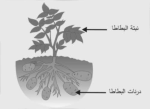 التكاثر: وهو عملية انتاج الكائن الحي ألفراد من نوعه.