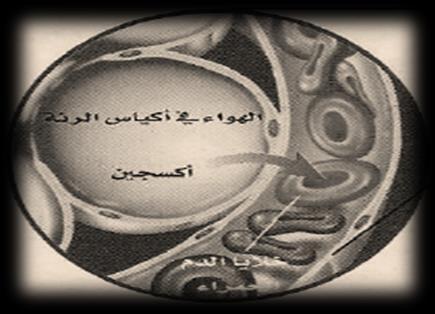 االختالف الرئيسي بين النقل النشط والسلبي هو: 2. نوعية الجزئيات المنقولة ب.
