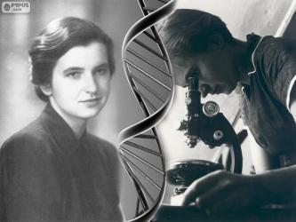الفصل الثامن الدرس األول : مادة الوراثة DNA الوحدة الرابعة الحمض النووي DNA هو الحمض النووي الرايبوزي