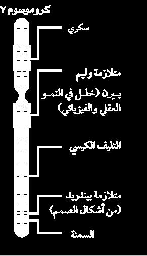 المختلفة للشخص كطوله ولون عينيه ولون جلده ب( تدخل البروتينات في بناء األنسجة ج( تعمل كإنزيمات ويتكون