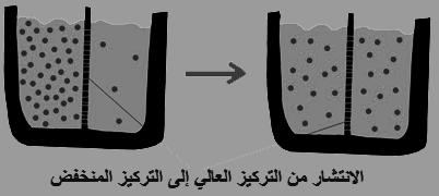 الفصل السابع الدرس األول : أنشطة في الخلية الوحدة الرابعة يمتاز الغشاء الخلوي بخاصية النفاذية االختيارية }السماح لمواد دون أخرى بالنفاذ