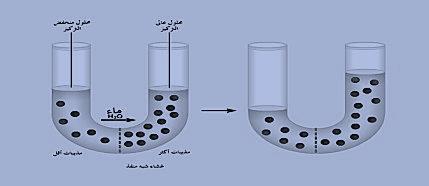 الجزيئات الكبيرة بمساعدة بروتينات الغشاء الخلوي ( البروتينات الناقلة ) انتشار جزيئات الماء عبر العشاء الخلوي عملية انتقال الجزيئات الصغيرة من