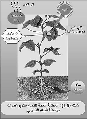 ( البناء واآلالت التي تحتاج لطاقة ) - العمال المواد الخامة المادة المنتجة المعمل في العملية هو البالستيدات الخضراء داخل الخلية والطاقة التي تعمل بها هي الطاقة الضوئية العمال الكلوروفيل