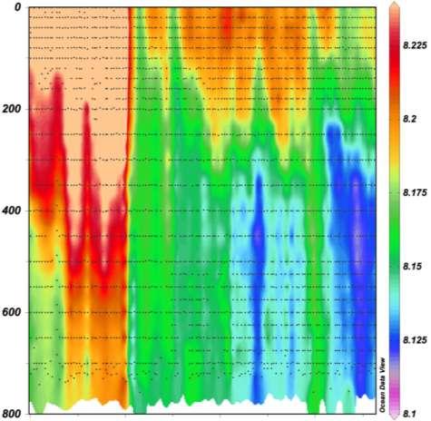 Depth [m] ph 24 25 26 27 28 29 21 211 212 213 איור ד 11 : שינויים ברמת החומציות בעמודת המים בתחנה A מאז נובמבר 26. הנקודות השחורות מייצגות את עומק המדידה.