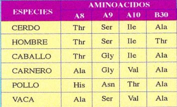 Hasta a enxeñería xenética a insulina para diabéticos procedía de páncreas de porcos ou vacas, que