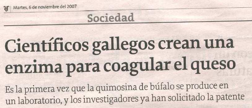 Científicos galegos crean unha encima para