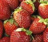 Beneficios dos transxénicos nicos Plantas resistentes ó frío Fresas resistentes ás baixas temperaturas.