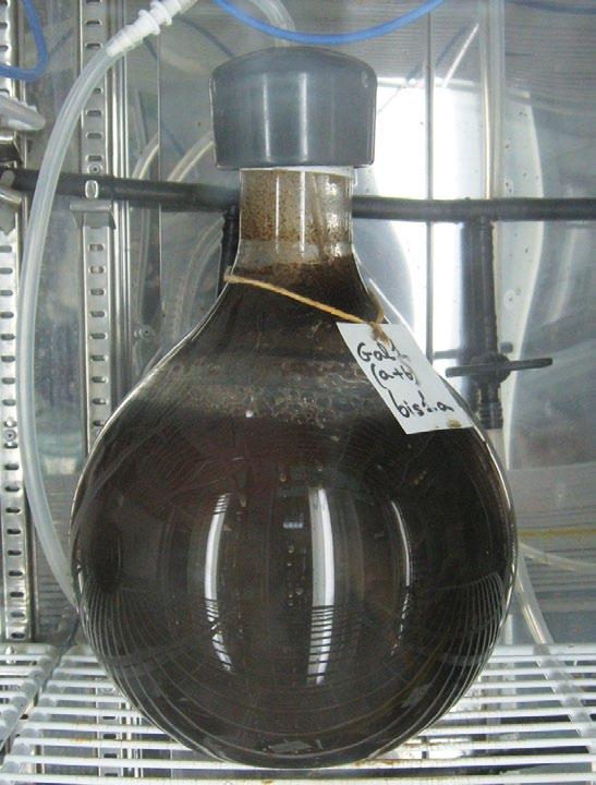 A industria acuícola de varios países utiliza o coñecemento xerado polas experiencias e aplicacións de AMTI, que se realizan dende hai máis de dúas décadas, para elaborar deseños eficientes e