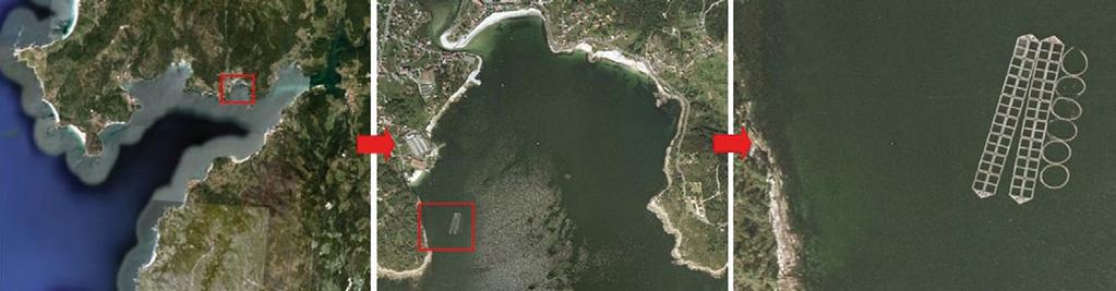 38 acuicultura multitrófica integrada acuicultura multitrófica integrada 39 Cultivo integrado de macroalgas en gaiolas de peixes na ría de Muros e Noia (A Coruña) Localización das gaiolas de peixes