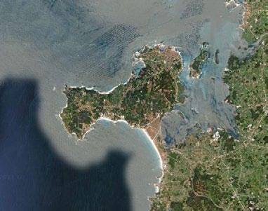 invertebrados suspensívoros (anémona) e macroalgas alimentarias (Saccharina latissima e Ulva spp.