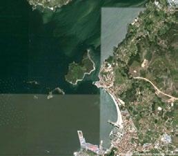 Os resultados deste estudo complementario da experiencia en Punta Moreiras demostraron a viabilidade do preengorde da semente destas dúas especies mediante un cultivo multitrófico, así como a súa