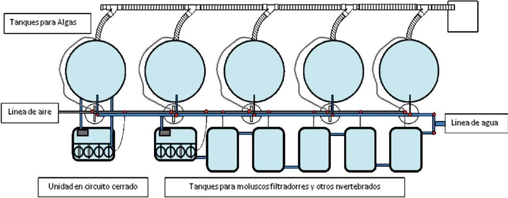 A empresa achegou para a realización da experiencia de AMTI, e sen contraprestación económica, unha superficie de 120 m 2, con toma de electricidade e saída de auga filtrada da mesma calidade que a