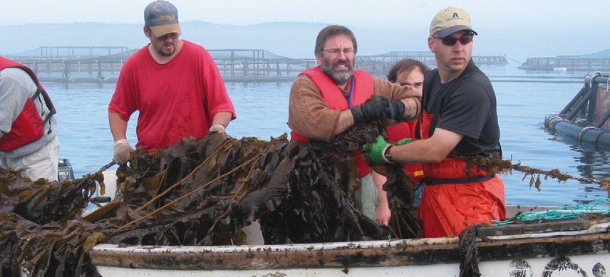 Pola súa banda, a FAO destacou no seu informe anual Estado mundial da pesca e a acuicultura, 2010, que o desenvolvemento dos sistemas produtivos multitróficos integrados, entre outros avances da