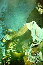 neke gljive u ishrani i