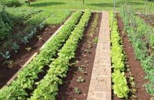 Zaključek projekta Obnovitev goriškega vrtnarstva Zaključil se je projekt Obnovitev goriškega vrtnarstva, ki je požel veliko zanimanja.