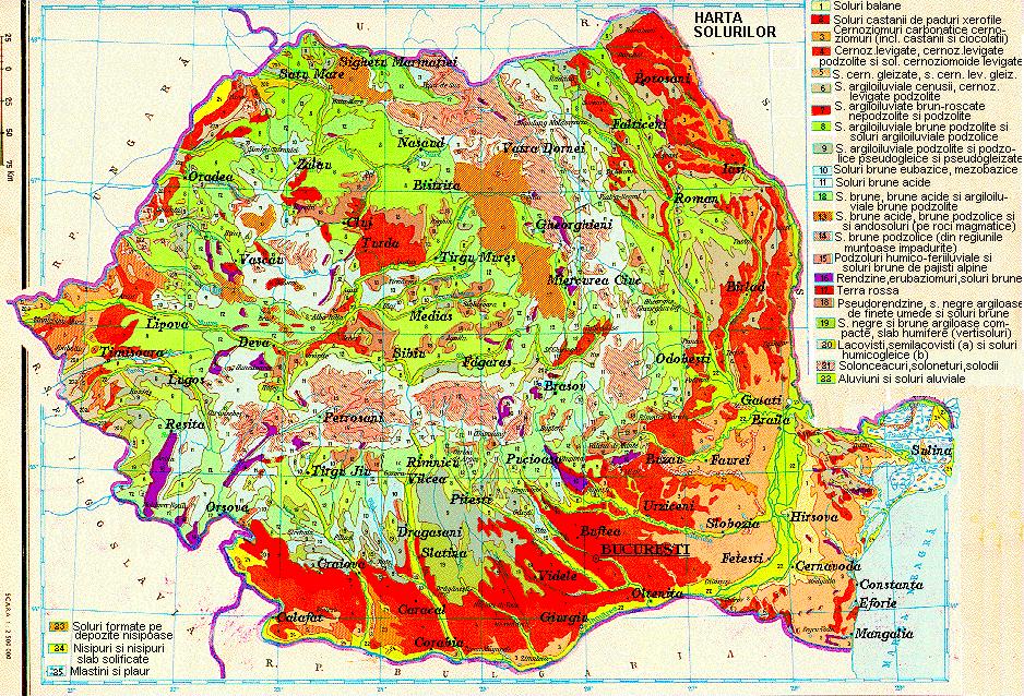 3.1.8. Solurile Solurile de pe teritoriul judeţului Bacău prezintǎ o mare varietate tipologicǎ, datoritǎ condiţiilor variate de relief, climǎ şi vegetaţie.