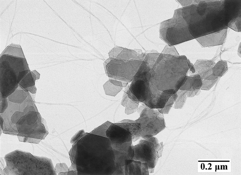 when dispersed. Ordinate was inverted for comparison with Fig.,.