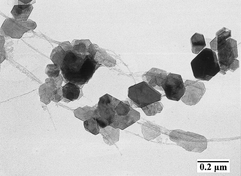 . (coagulated) Transmission electron micrographs of