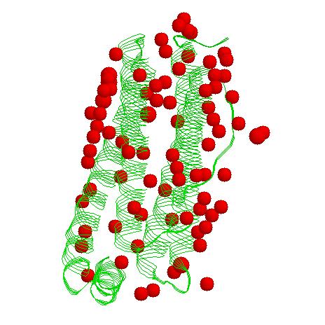 HOLOPROTEÍNA = APOPROTEÍNA + GRUPO PROSTÉTICO Heteroproteína