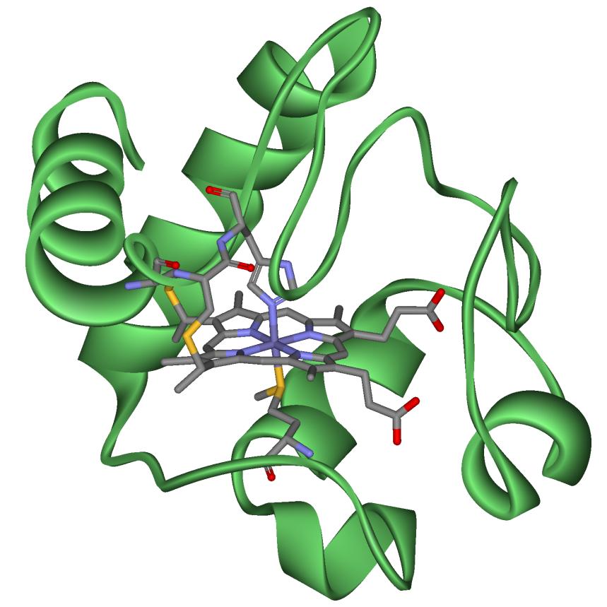 CLASE Sistemas nucleoproteícos GRUPO PROSTÉTICO RNA y DNA (en ciertos virus) TIPO DE UNIÓN DEL GRUPO Enlaces iónicos, puentes de hidrógeno, EJEMPLOS Ribosomas, RNasa P, virus del mosaico del tabaco