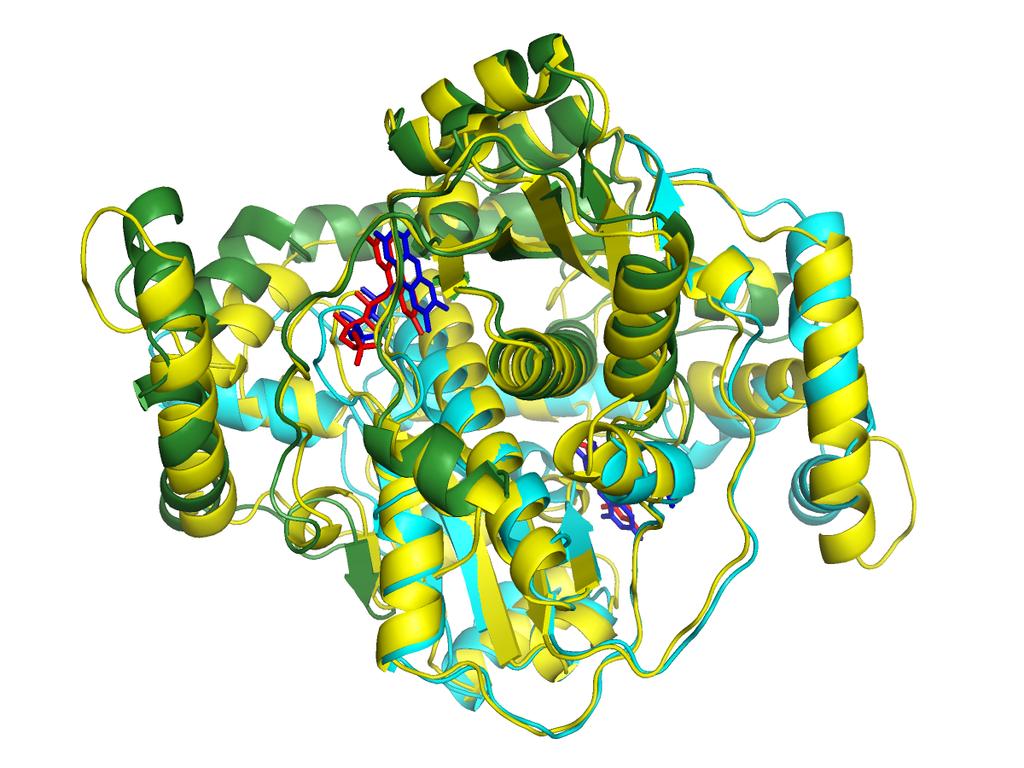 CLASE GRUPO PROSTÉTICO TIPO DE UNIÓN DEL GRUPO EJEMPLOS Flavina Sistemas nucleoproteícos RNA y DNA (en ciertos virus) Enlaces iónicos, puentes de hidrógeno, Ribosomas,