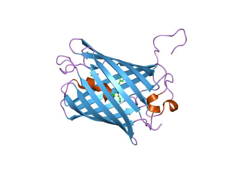 no Hemoglobina, mioglobina, citocromo C Succinato Metaloproteínas Iones metálicos (hierro, cobre, calcio, manganeso, magnesio, zinc ) Enlaces de coordinación Ferritina,