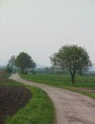 Sprehod skozi Črno vas do Lip bo pričaral lepote Ljubljanskega barja, spoznali bomo dediščino tega območja in opazovali, kako sta razvoj in novi čas zarezala v nekoč urejeno naselje.