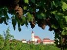 Sveta Ana Društvo vinogradnikov Sveta Ana, Turistično društvo Sveta Ana, Kulturno društvo Sveta Ana, Društvo kmečkih žena in deklet, Občina Sveta Ana in Zgodovinsko društvo Slovenske gorice Viktor